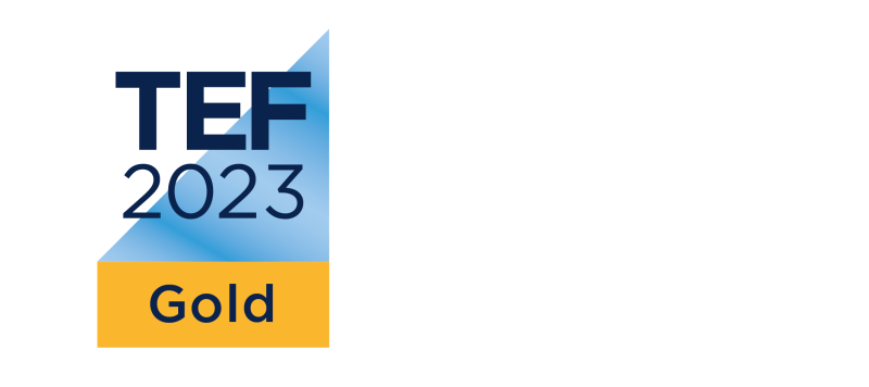 Teaching Excellence Framework Gold award